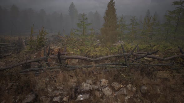 An Old Wood Fence with a Country Field Behind It alt