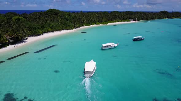 Aerial flying over texture of luxury resort beach wildlife by blue ocean and white sand background o