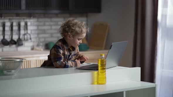Cute Toddler is Viewing Video on Laptop on Home Kitchen Emotional Portrait of Little Boy Indoors