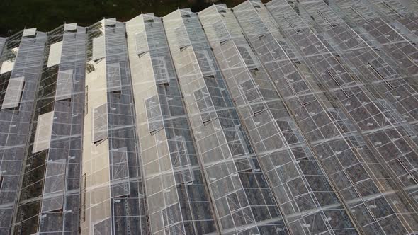 Agricultural Greenhouses