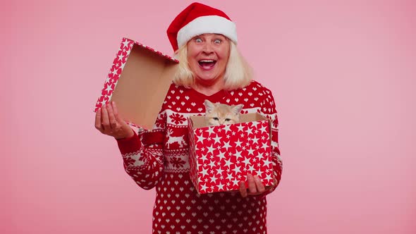 Grandmother in Christmas Sweater Smiling Unwrapping Gift Opening Box with Pet Cat Great Surprise