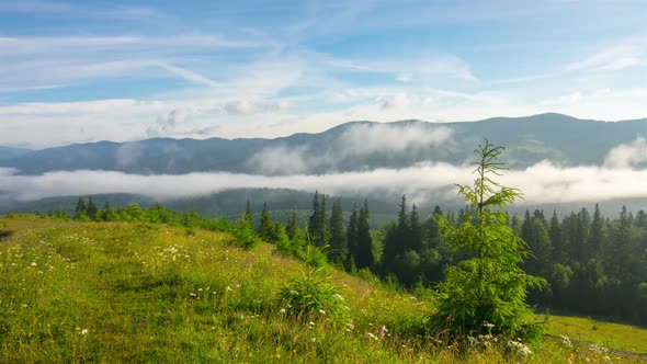 Misty Morning in the Mountains