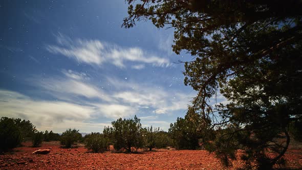 Stars and Moon Pass Over Sparsely Treed Red Rock Desert, Timelapse