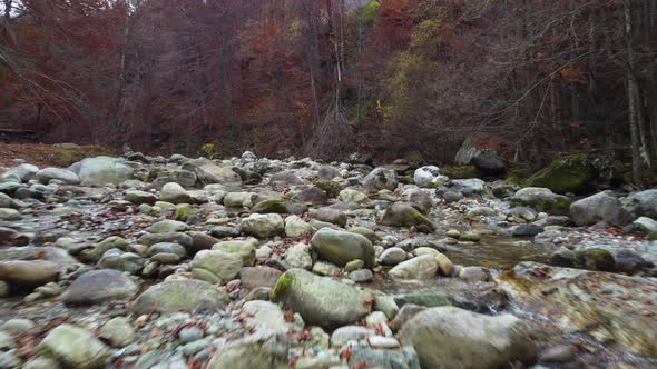 Autumn Mountain River, Foliage Trees