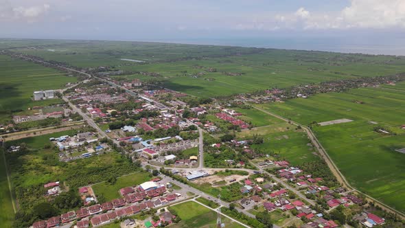 The Paddy Rice Fields of Kedah and Perlis, Malaysia