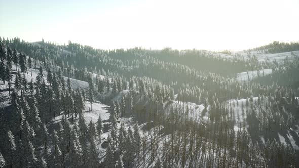 Colorful Winter Sunrise in the Mountains