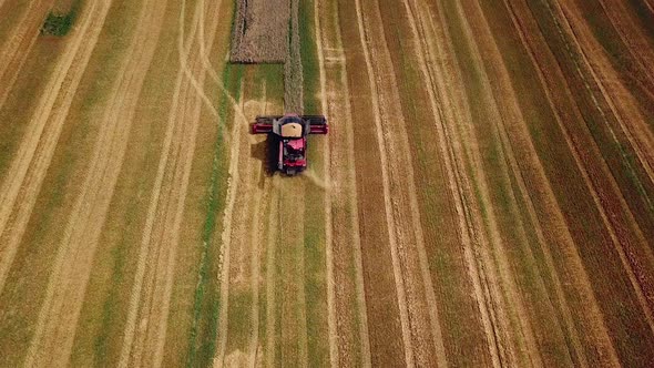 Combine harvester working on a golden ripe wheat field. Harvest time. Aerial view.