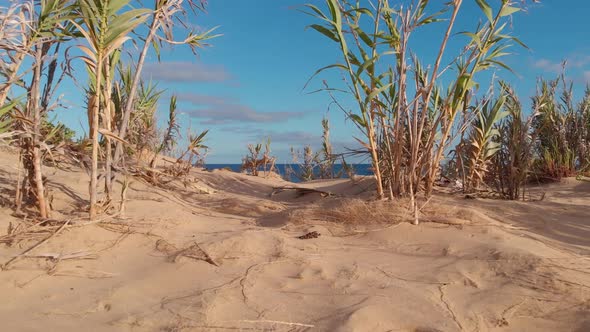 Beautiful revealing shot of a beach in Matadouro going from desert to ocean