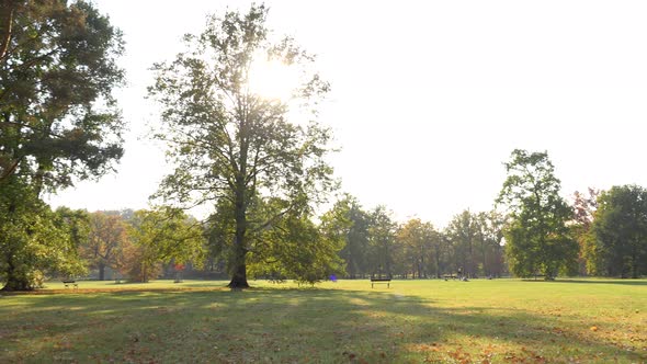 A Large, Beautiful Park on a Sunny Day - Slider