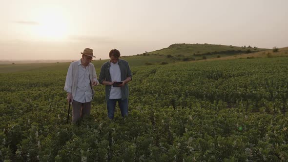 Old Man Talks to Young and Look and the Green Plants