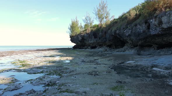 Zanzibar Tanzania  Low Tide in the Ocean Near the Shore