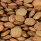 Rotation of a Brown Lentil Seamless Loopable - VideoHive Item for Sale