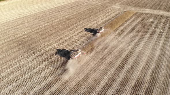 Aerial View of Several Harvesters on a Field of Sunflowers. Harvesting Sunflower Seeds for Sunflower