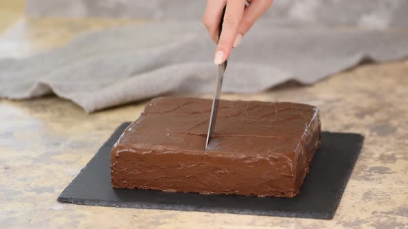 Female Hand Cutting Chocolate Cake with Knife