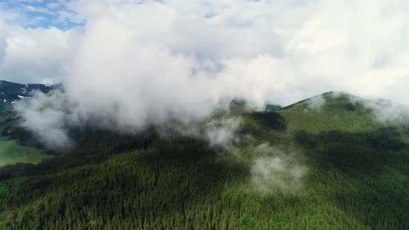 Epic Aerial Flight Over Mist Forrest, Summer Trees, Sunset Colors Epic Glory Inspiration, Hiking And