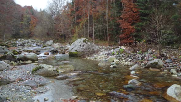 Autumn Mountain River and Foliage Trees