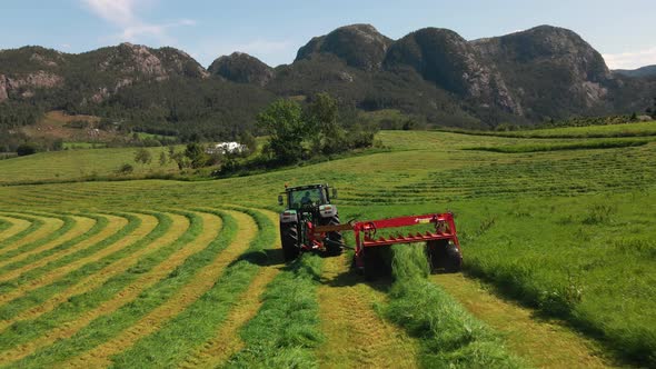 Rear View Of A Fodder Harvester Cutting Grass For Silage Ont A Farm In Norway. wide following shot