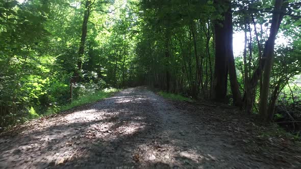 Hiking and Walking in Woods Forest