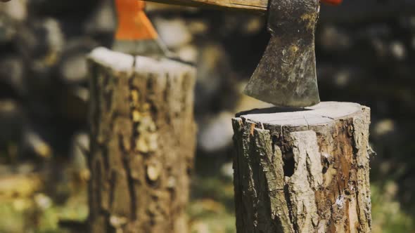 Afternoon panning footage from a wood cutting scene at home.