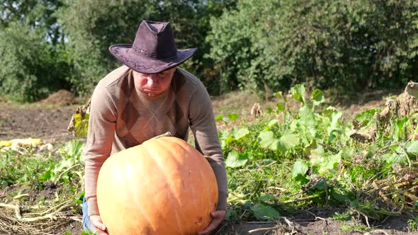 Man Holding a Big Pumpkin on Vegetable Garden