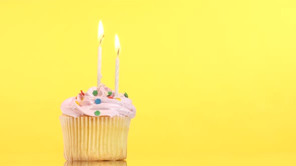 Tasty Birthday Cupcake with Two Candle, on Yellow Background