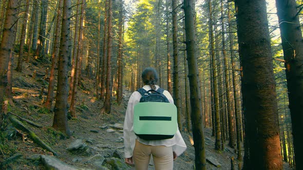 Woman Traveling in a Dense Fairy Forest Climbing Up