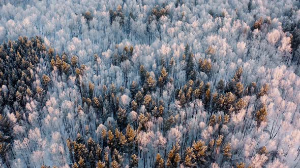 Winter forest Snowy forest Sunset Sunrise The Black Sopka The Kara-Dag hill Winter Mountains