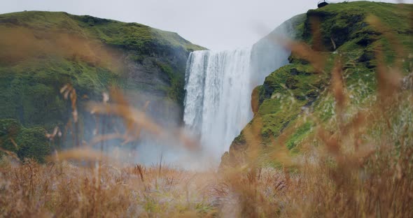 Iceland Skogafoss Waterfall with Defocused Foliage in Foreground