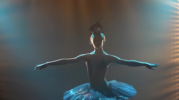 Silhouette of a Young Beautiful Girl in a Black Tutu with Sequins and a Crown. Graceful Ballerina in