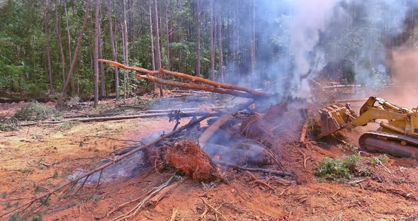 Natural Disaster Forest Fire Tractor Falling Asleep Sand to Fire