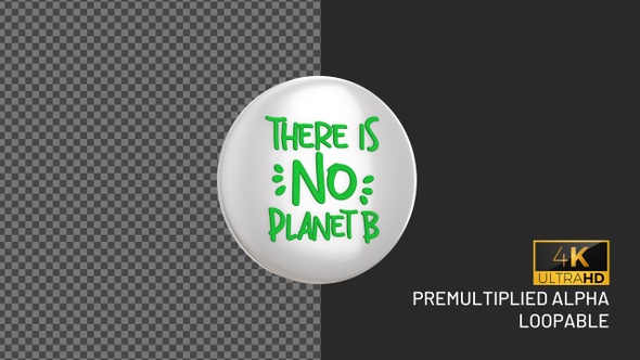 There Is No Planet B Badge