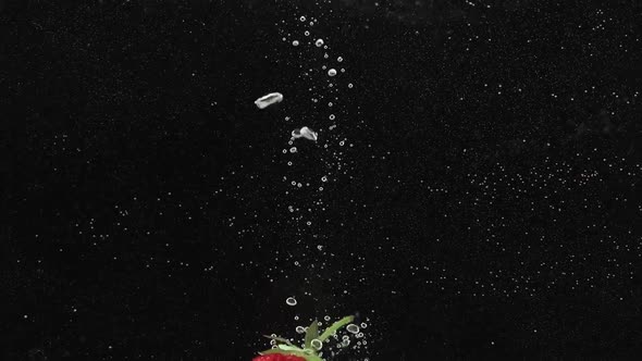 Fresh Strawberry Fruit Dropped Into Water Shot in Super Slow Motion