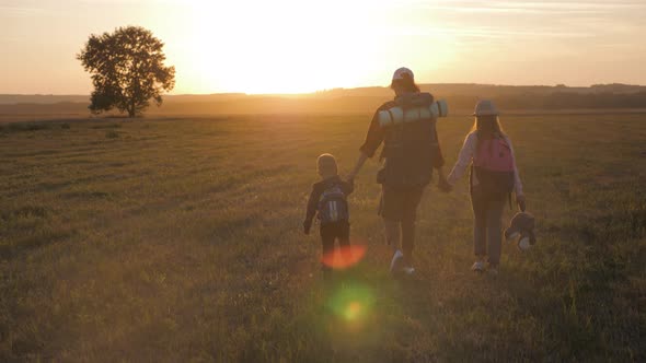 Mother and Two Children Walking in the Meadow at the Sunset Time, Silhouette Happy Beautiful Family