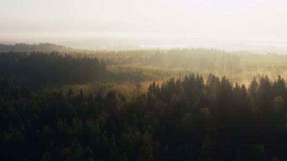 Aerial Drone Flying Over Hilly Forest in Misty Morning Clouds of Fog