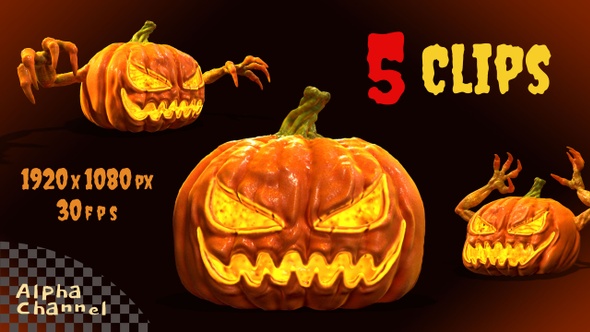 Pumpkin (5-Pack)