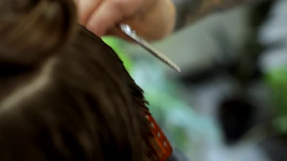 Hairdresser Trimming Brown Hair with Scissors. Professional Stylist Cutting Woman's Hair in Salon