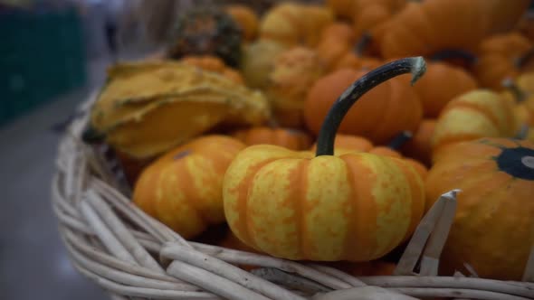 Small Pumpkins In A Weed Basket