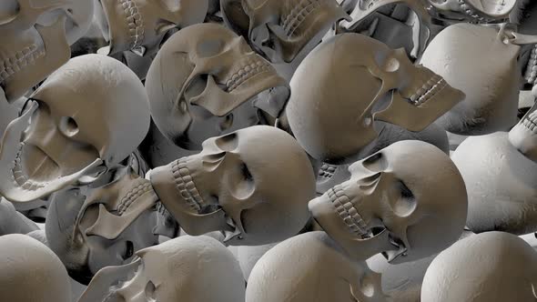 Skull Transition 02 Hd  alt