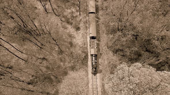 Black and White Aerial View of an 1860's Steam Passenger Train Traveling Thru a Wooded Area