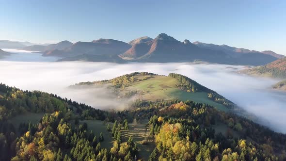 Autumn Forest Landscape