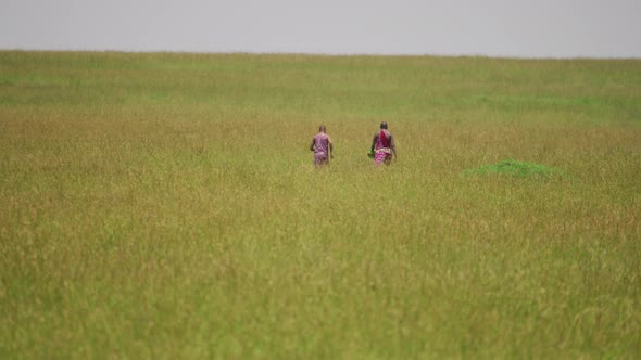 Two Maasai people walking in grasslands