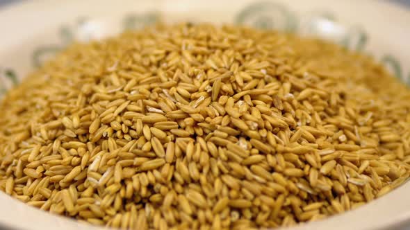 Grains of Raw Oat Groats Rotate on a White Plate Close-up