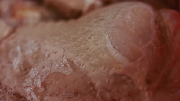 Closeup View of Hands in Gloves Packing Chicken Legs From a Box Into Individual Plastic Bags