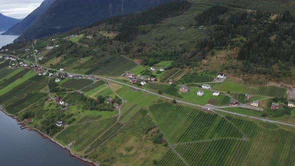 Simple humble Sorfjorden farmlands Kinsarvik to Lofthus area