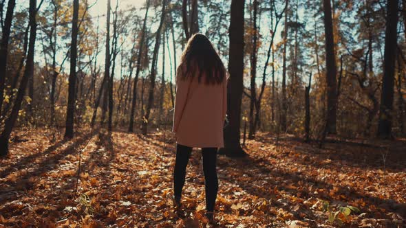 Lovely Girl in Autumn Forest in the Morning.