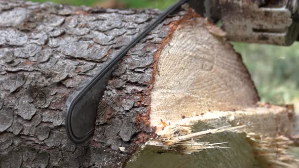 Close Up of Chainsaw Cutting Wood