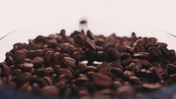 Coffee beans and cup in the making of a cup of coffee 10