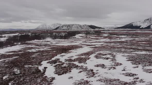 Toundra landscape - frozen landscape with small vegetation, and mountains in the background