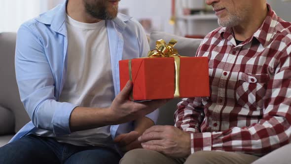 Adult Son Making Present to Father, Hugging Him, Warm Family Relationships