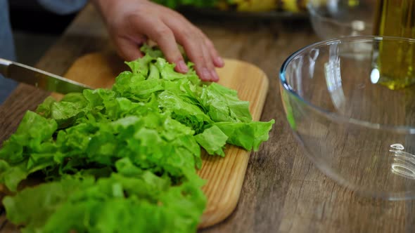 a man cuts lettuce leaves. cooking process by the chef. salad ingredients. caring man preparing